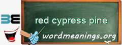 WordMeaning blackboard for red cypress pine